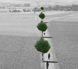 Fotomontage: Bäume sollen den Verlauf der antiken Straße markieren.