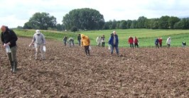 Ehrenamtliche Mitarbeiterinnen und Mitarbeiter des LVR-Amtes für Bodendenkmalpflege im Rheinland bei einer systematischen Feldbegehung (Foto: Petra Tutlies, LVR-ABR)